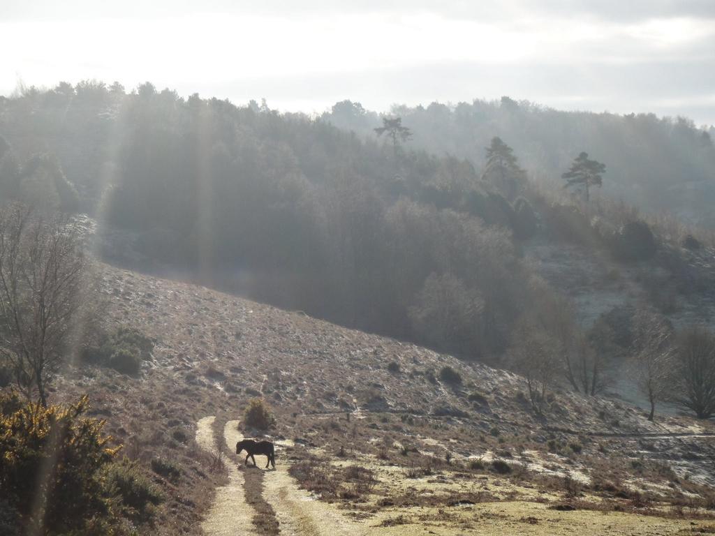 Villa The Old Cook'S House Hindhead Camera foto