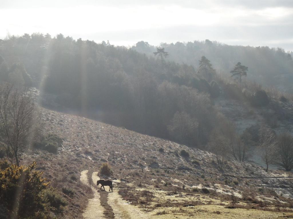 The Old Cook'S House Villa Hindhead Camera foto